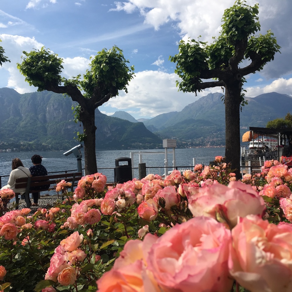 Meet your Posher, Eileen